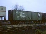 CP 81189